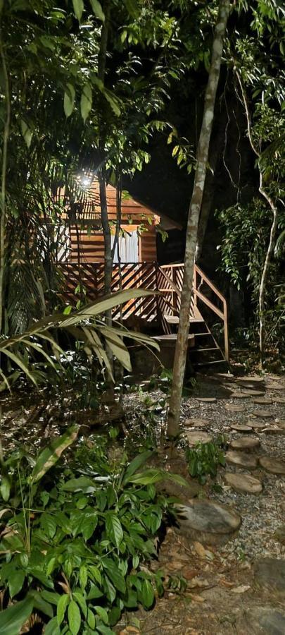 Refugio Samauma Hotel Манаус Екстериор снимка
